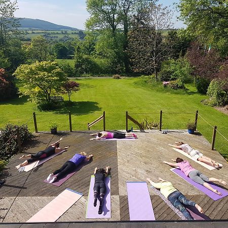 Creacon Wellness Retreat Hotel New Ross Bagian luar foto